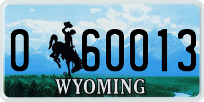 WY license plate 060013