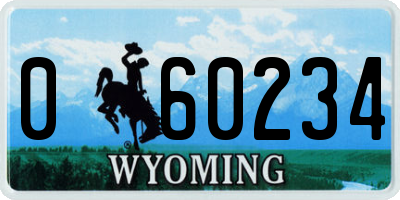 WY license plate 060234