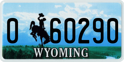 WY license plate 060290