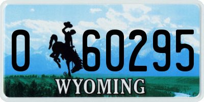 WY license plate 060295