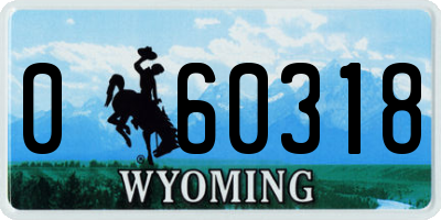 WY license plate 060318