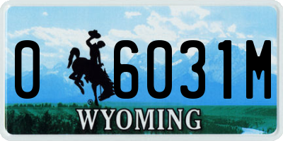 WY license plate 06031M