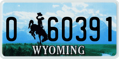 WY license plate 060391