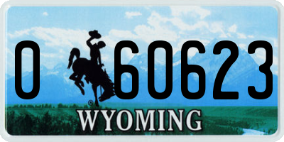 WY license plate 060623