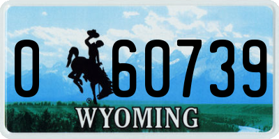 WY license plate 060739