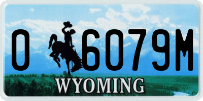 WY license plate 06079M