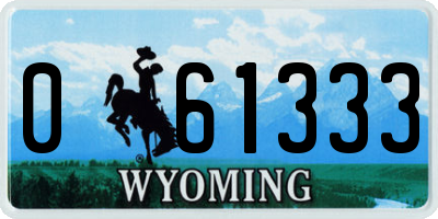 WY license plate 061333
