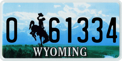 WY license plate 061334