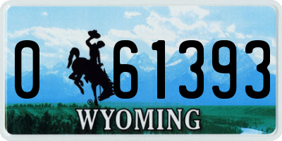 WY license plate 061393