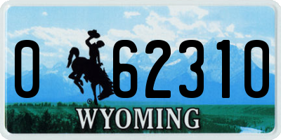 WY license plate 062310