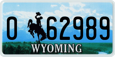 WY license plate 062989