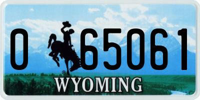 WY license plate 065061