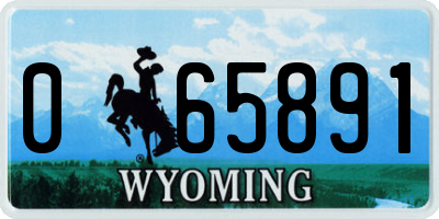 WY license plate 065891