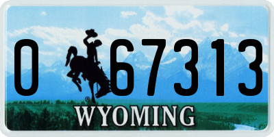 WY license plate 067313