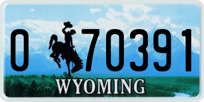 WY license plate 070391