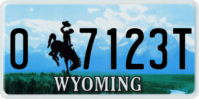 WY license plate 07123T