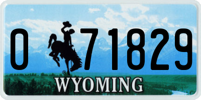 WY license plate 071829