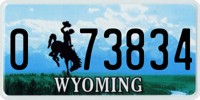 WY license plate 073834