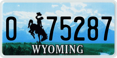 WY license plate 075287