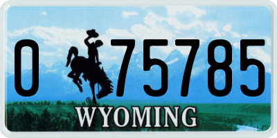 WY license plate 075785