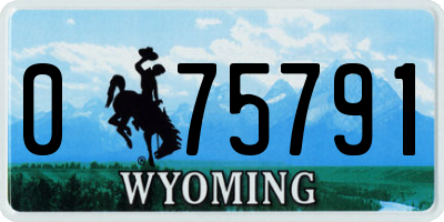 WY license plate 075791
