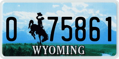 WY license plate 075861