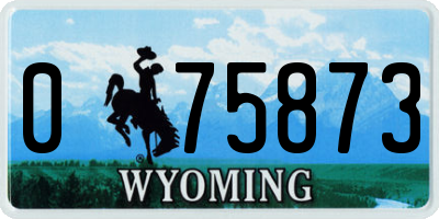 WY license plate 075873