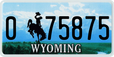 WY license plate 075875