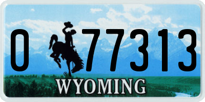 WY license plate 077313
