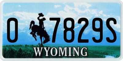 WY license plate 07829S