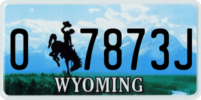 WY license plate 07873J
