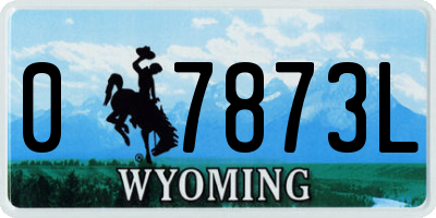 WY license plate 07873L