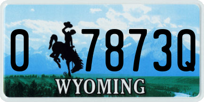 WY license plate 07873Q
