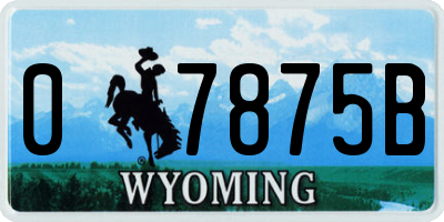 WY license plate 07875B