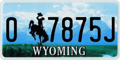 WY license plate 07875J