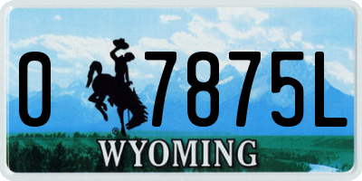 WY license plate 07875L