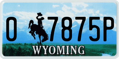 WY license plate 07875P
