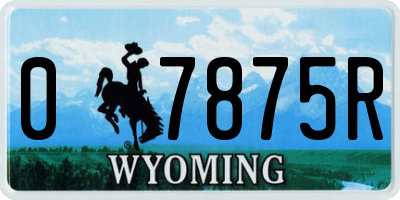 WY license plate 07875R