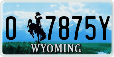 WY license plate 07875Y