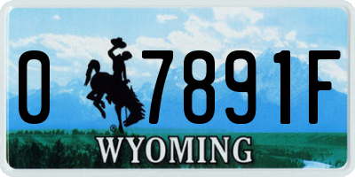 WY license plate 07891F