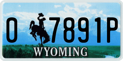 WY license plate 07891P