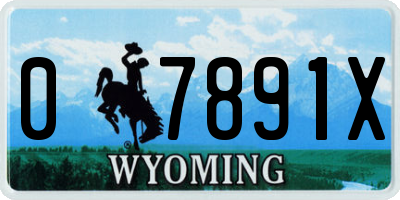 WY license plate 07891X