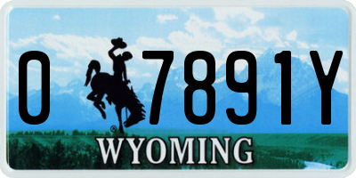 WY license plate 07891Y