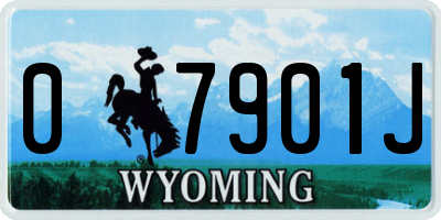 WY license plate 07901J