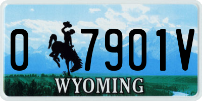 WY license plate 07901V