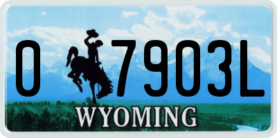 WY license plate 07903L
