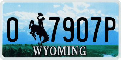 WY license plate 07907P