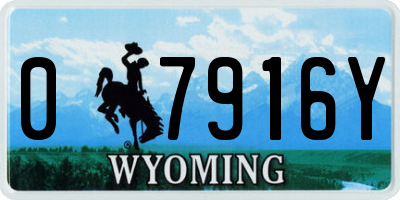 WY license plate 07916Y