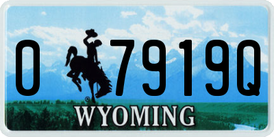 WY license plate 07919Q