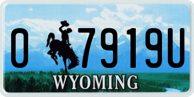 WY license plate 07919U